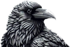 Benutzeravatar